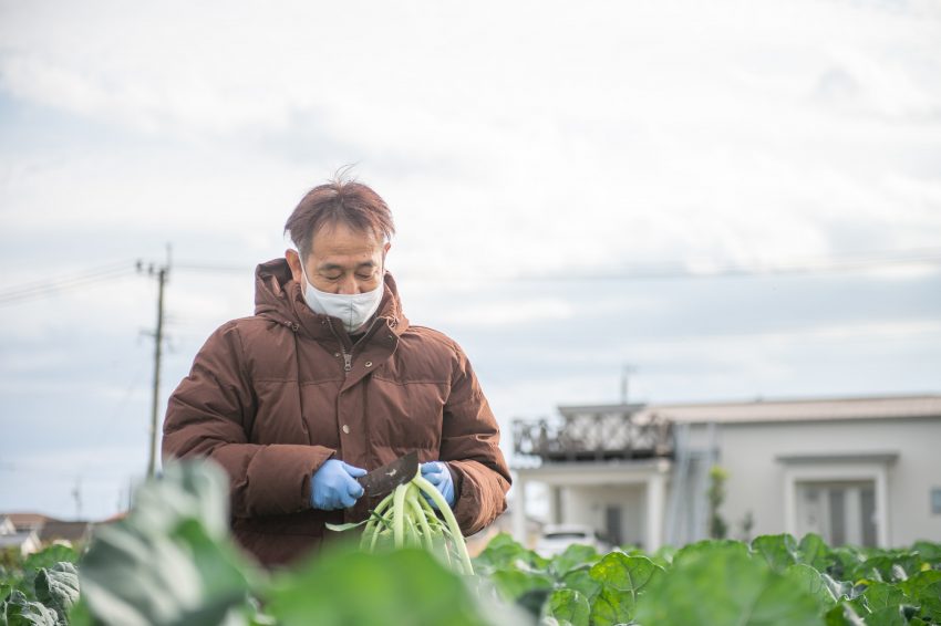 百年の誠実 都農町 就農インタビュー 農業はやってきたことが如実に表れるやりがいのある仕事