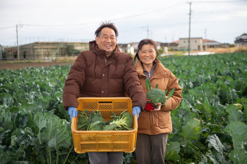 百年の誠実 都農町 就農インタビュー 農業はやってきたことが如実に表れるやりがいのある仕事